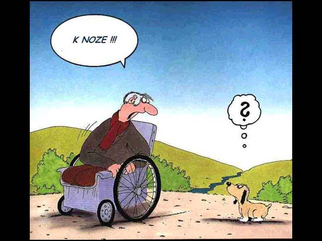 pejsek.jpg